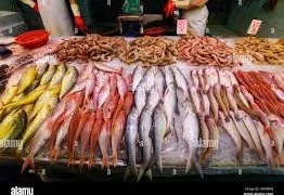 Thekkoos Fish Market                                                                                      