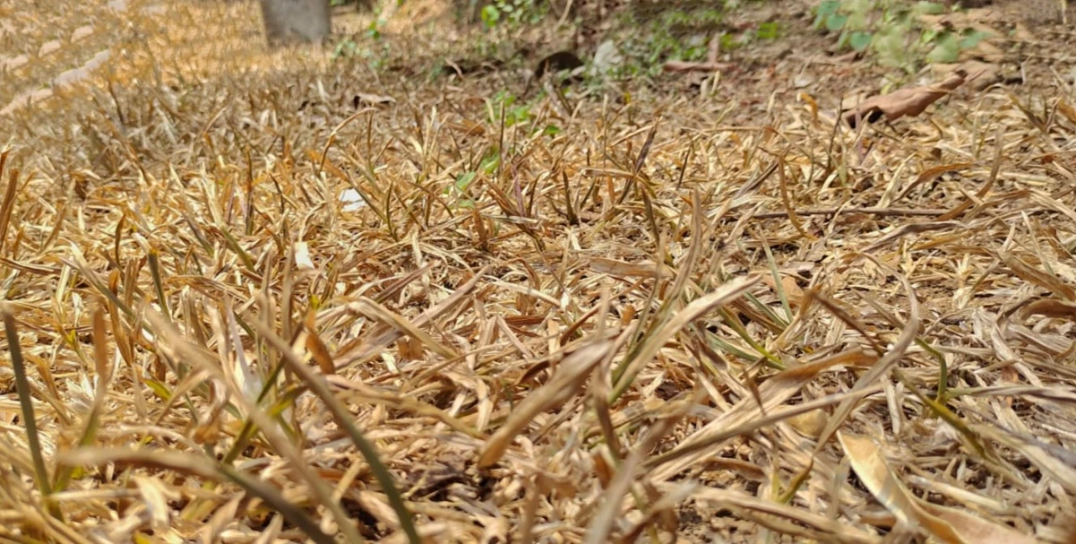 മഴ വന്നാൽ പ്രളയം വെയിൽ വന്നാൽ തീമഴ