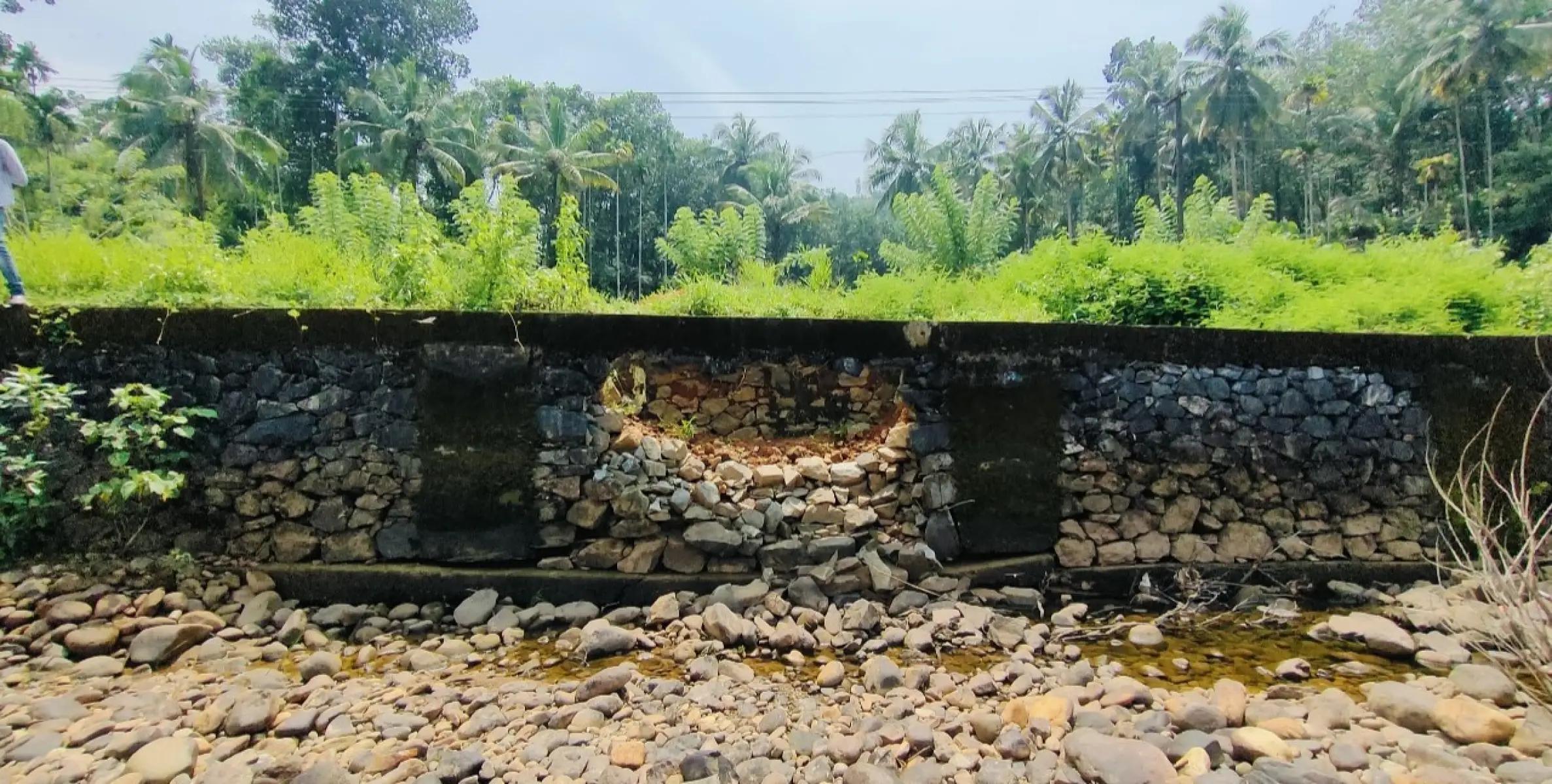 ജാഗ്രതെ... കാട്ടാനകൾ നാട്ടിൽ മേയാൻ സാധ്യത