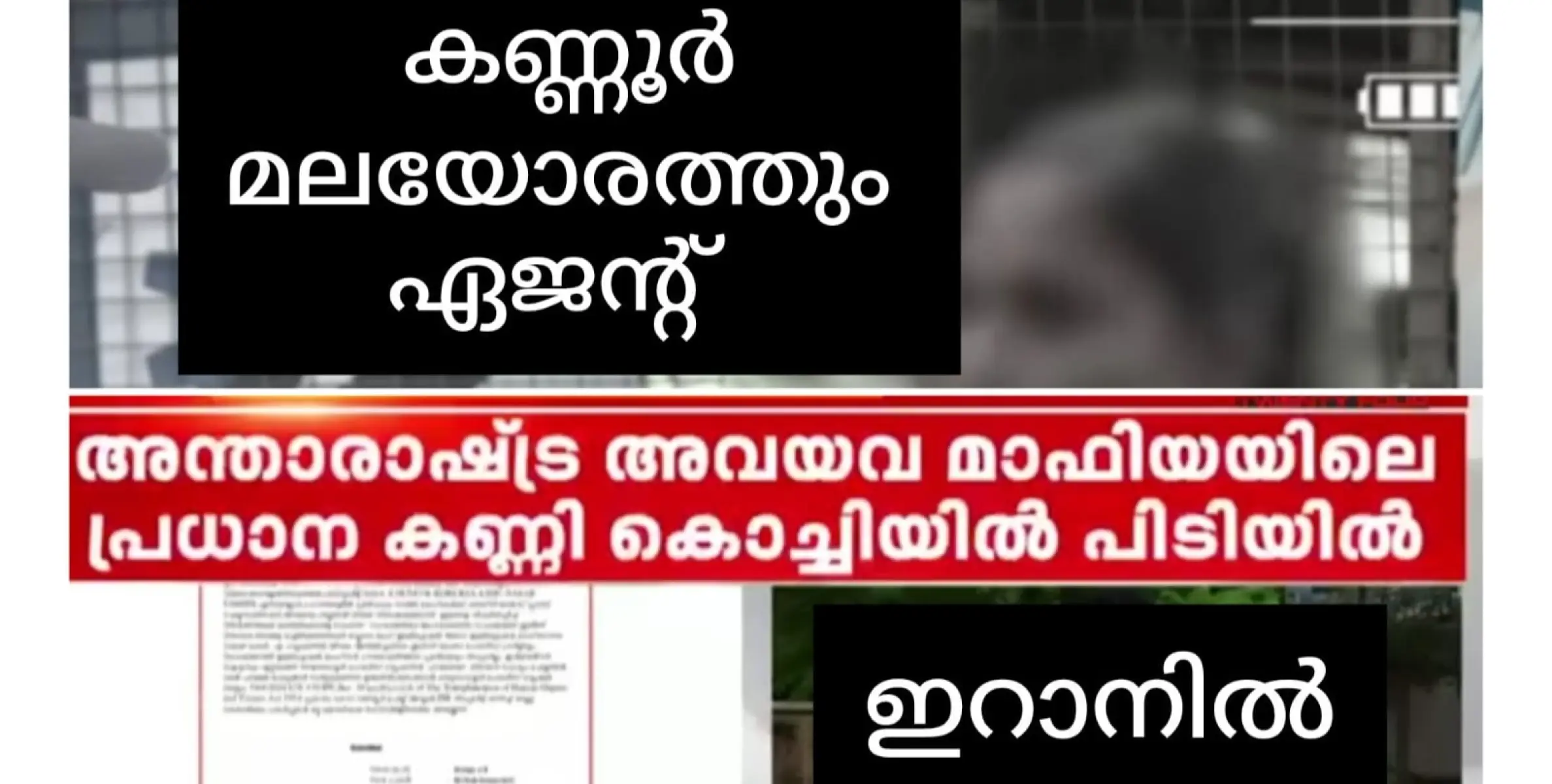 അവയവ കച്ചവട മാഫിയ മലയോരത്തും. കൊച്ചിയിൽ കേന്ദ്രം ? കണ്ണൂർ മലയോരത്ത് എജൻ്റ് ? ഇറാനിൽ കച്ചവടം......! ഇരകളിൽ ആദിവാസികളും ? 