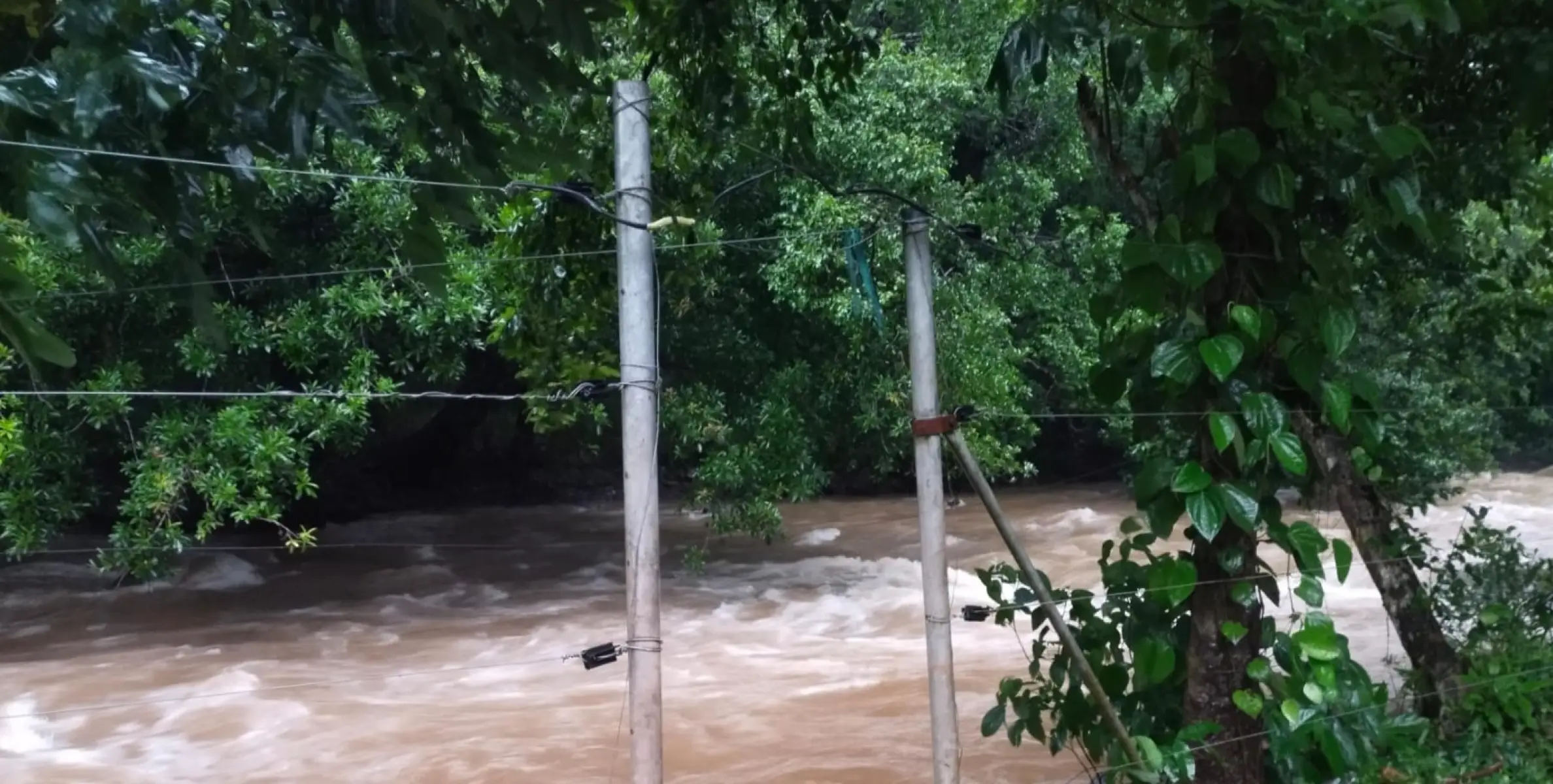 വനമിത്ര അവാർഡ് വേണോ? അപേക്ഷിക്കാം.