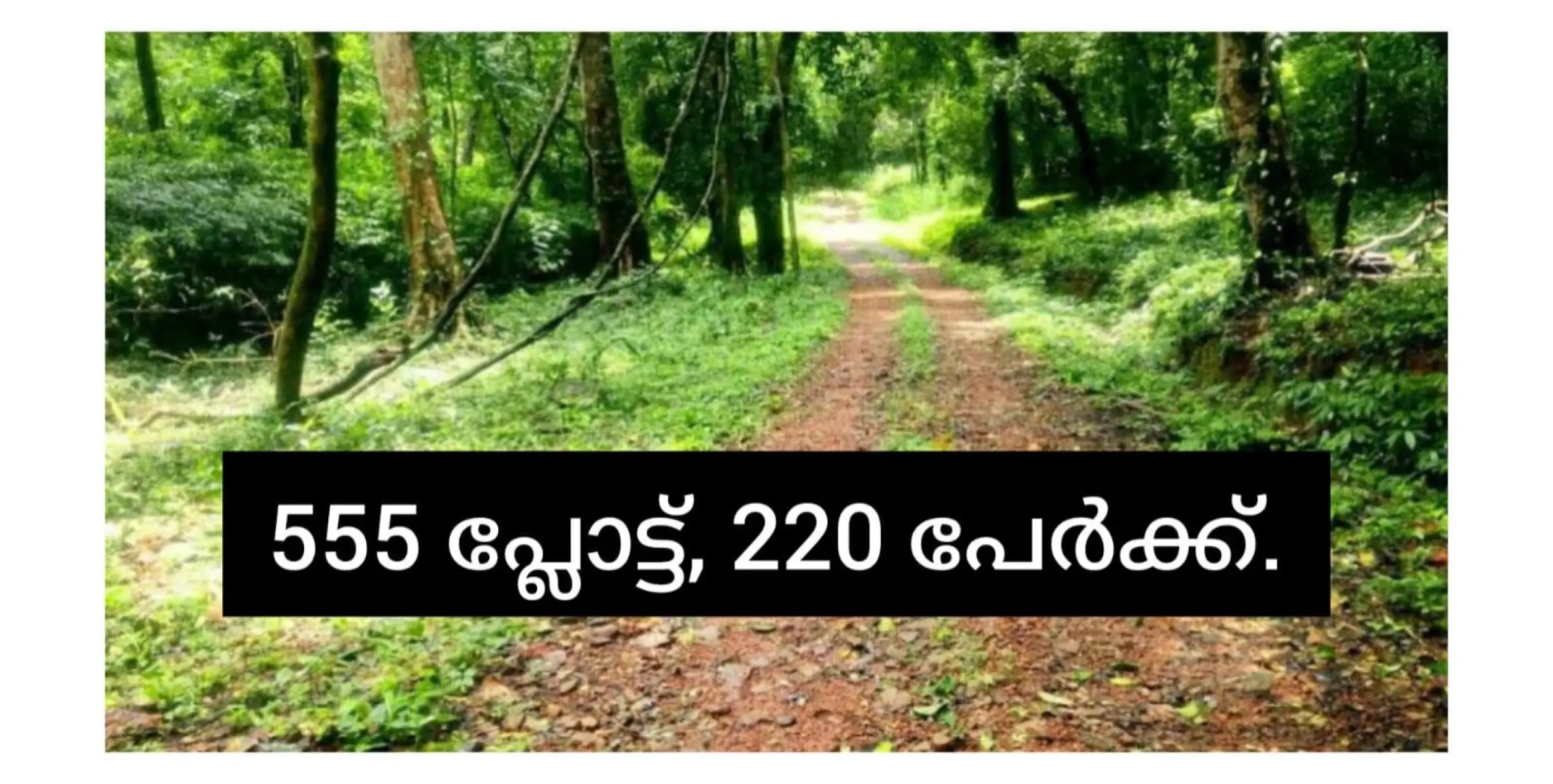 ആറളം പുനരധിവാസ മേഖലയിൽ വാസയോഗ്യമായ 555 പ്ലോട്ടുകൾ കണ്ടെത്തി ആദ്യം 220 പേർക്ക് നൽകും.