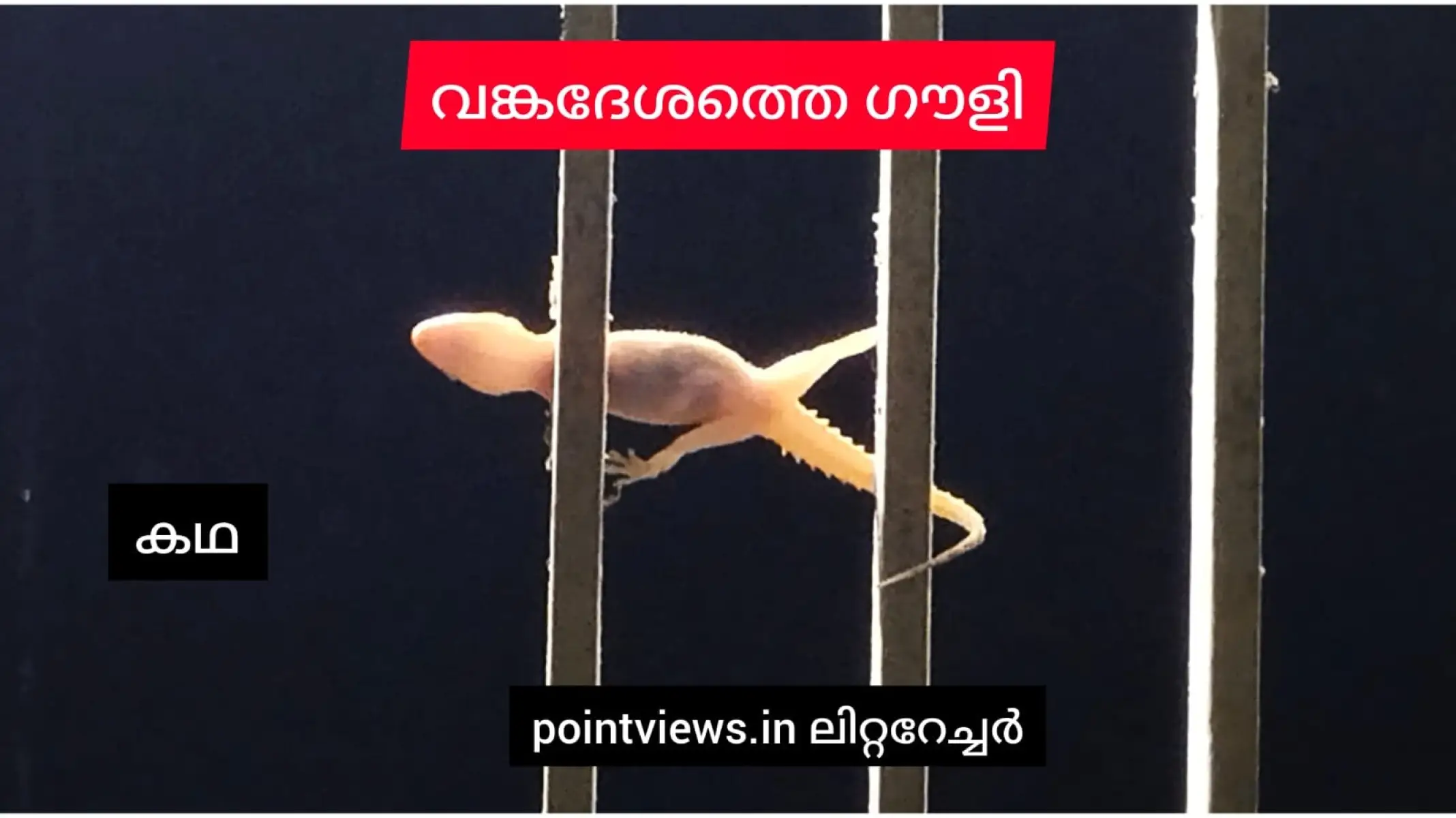 വങ്കദേശത്തെ ഗൗളി - (ചെറുകഥ)