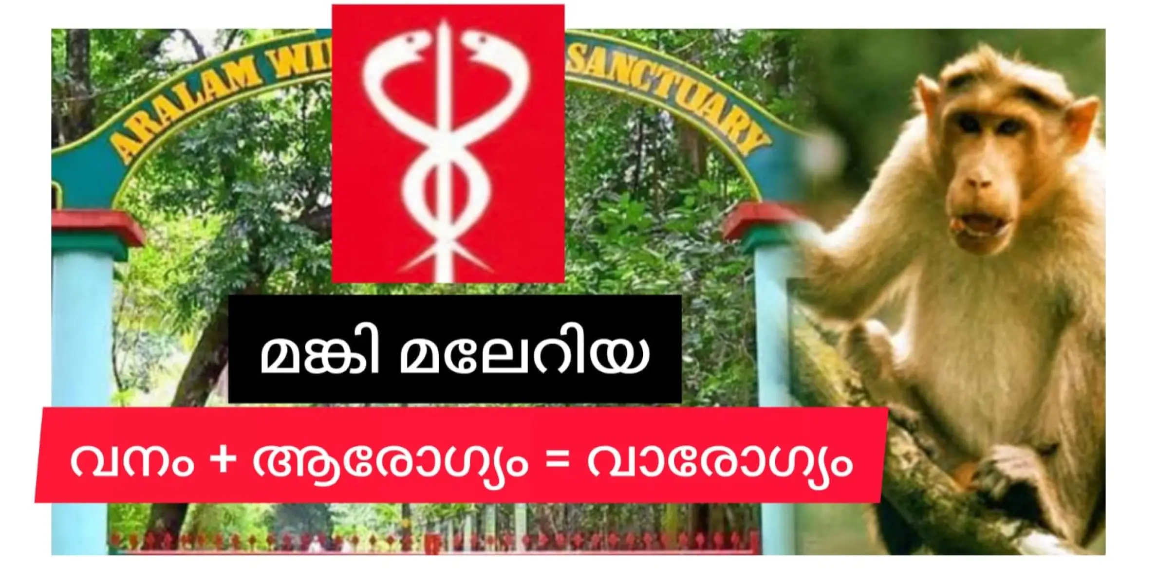 വനം വകുപ്പ് : ഡേയ് ആരോഗ്യം....  ആരോഗ്യ വകുപ്പ് : ഓമ്പ്രാ...  ആറളത്തെ മങ്കി മലേറിയയുടെ കാര്യം വനം വകുപ്പ് പറയും.