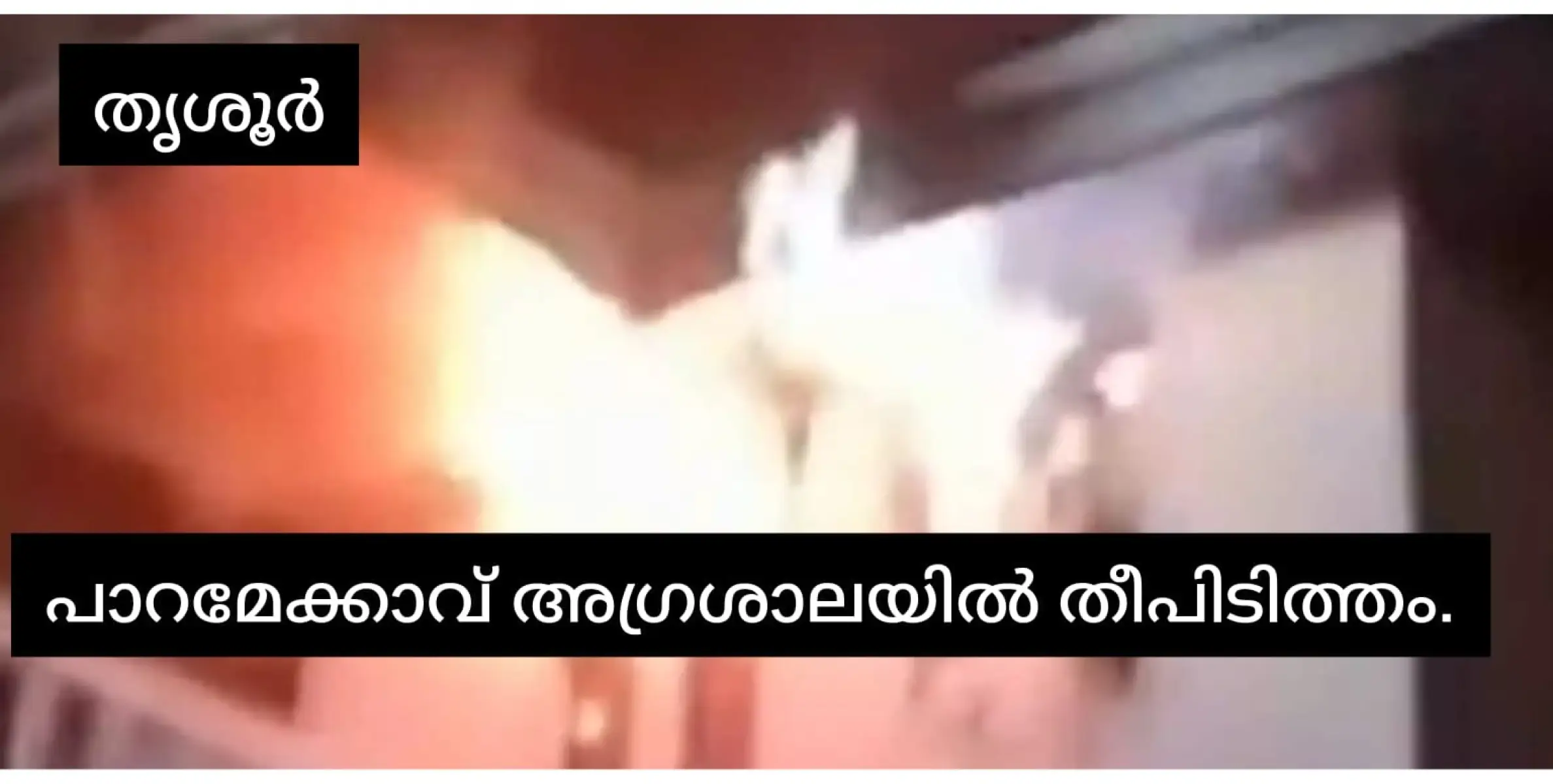 പാറമേക്കാവ് ക്ഷേത്രം അഗ്രശാലയിൽ തീ പിടിത്തം.