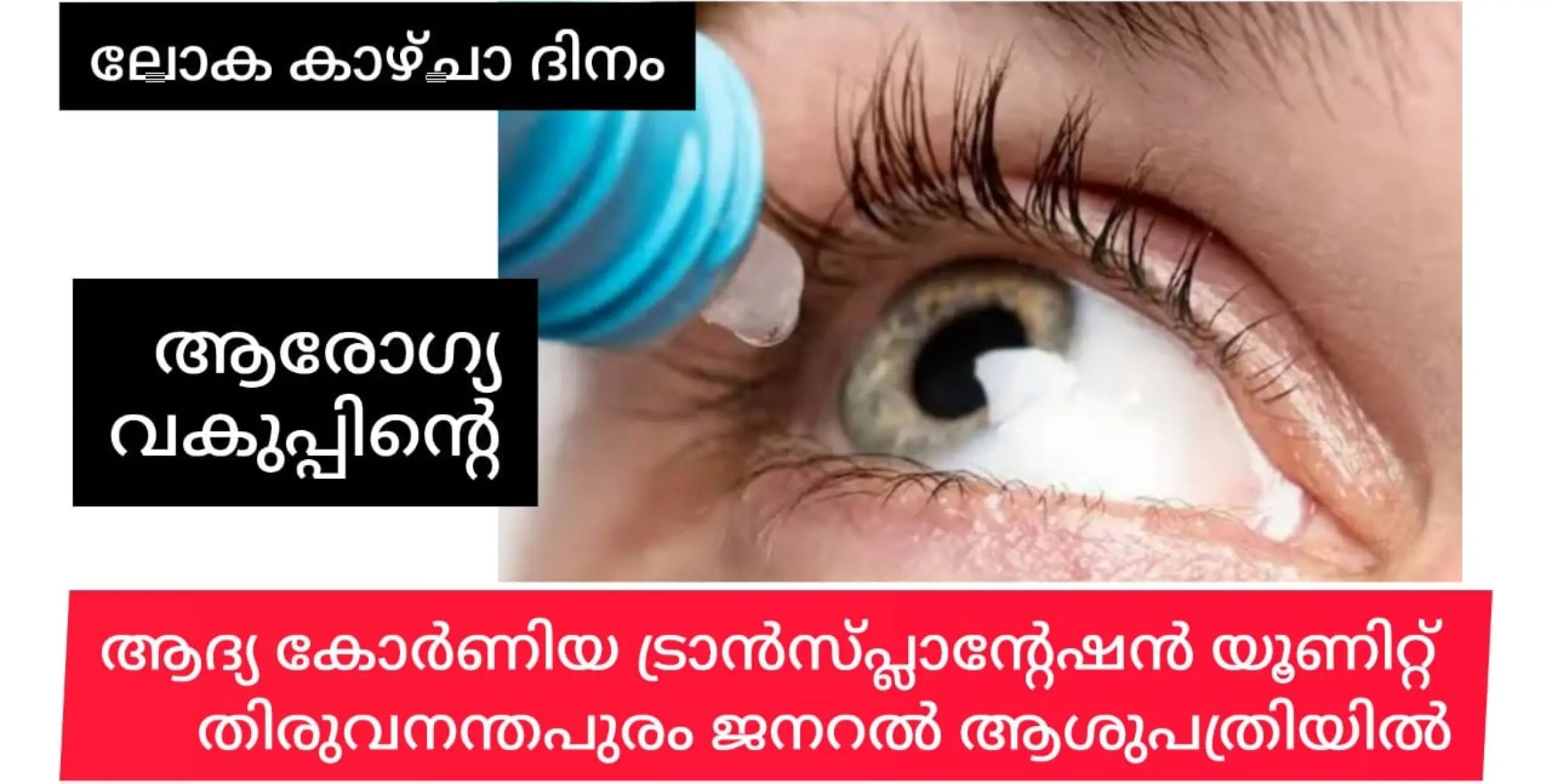 കുട്ടികളേ, നിങ്ങളുടെ കണ്ണുകളെ സ്നേഹിക്കൂ - ഒക്ടോബർ 10 ലോക കാഴ്ചാ ദിനം