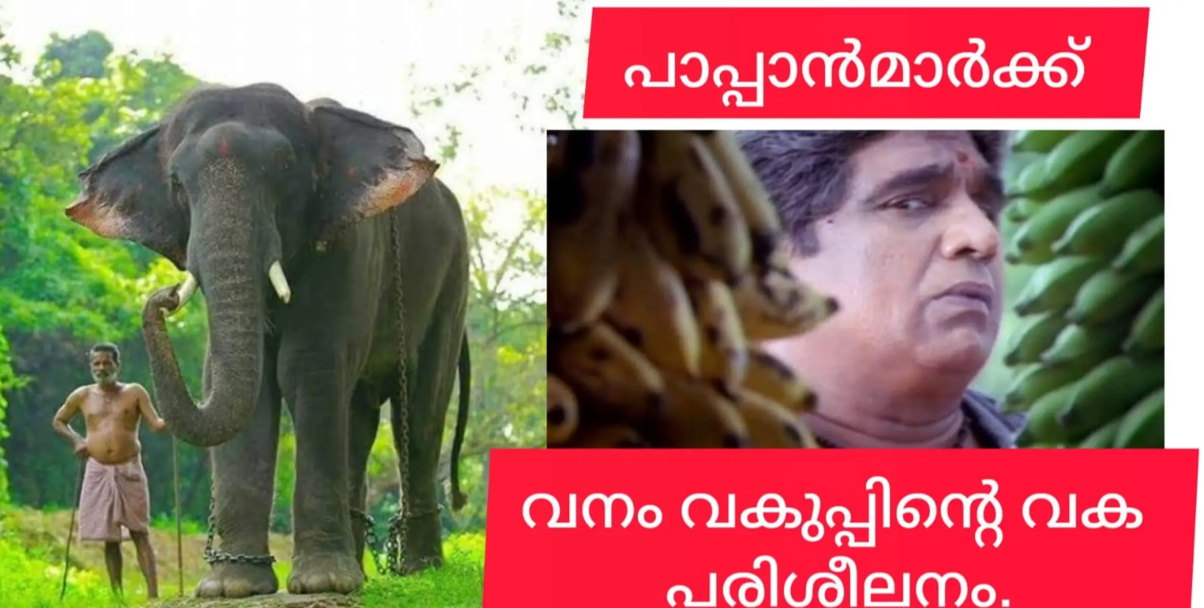 ആനപാപ്പാന്മാര്‍ക്ക് ഏകദിന ശില്പശാല നടത്തി.