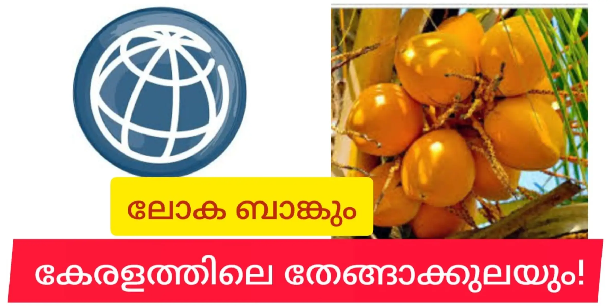 കേരളത്തിൽ തേങ്ങാ ഉണ്ടാകാൻ ഇനി ലോകബാങ്ക് സഹായിക്കും.