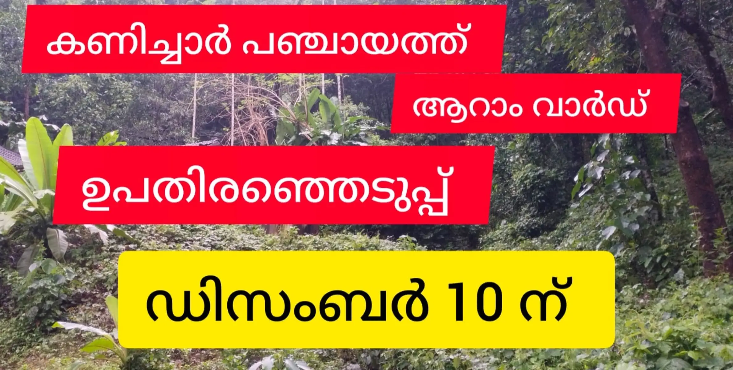 കണിച്ചാർ പഞ്ചായത്ത് ആറാം വാർഡ് ഉപതിരഞ്ഞെടുപ്പ് ഡിസംബർ 10 ന്.