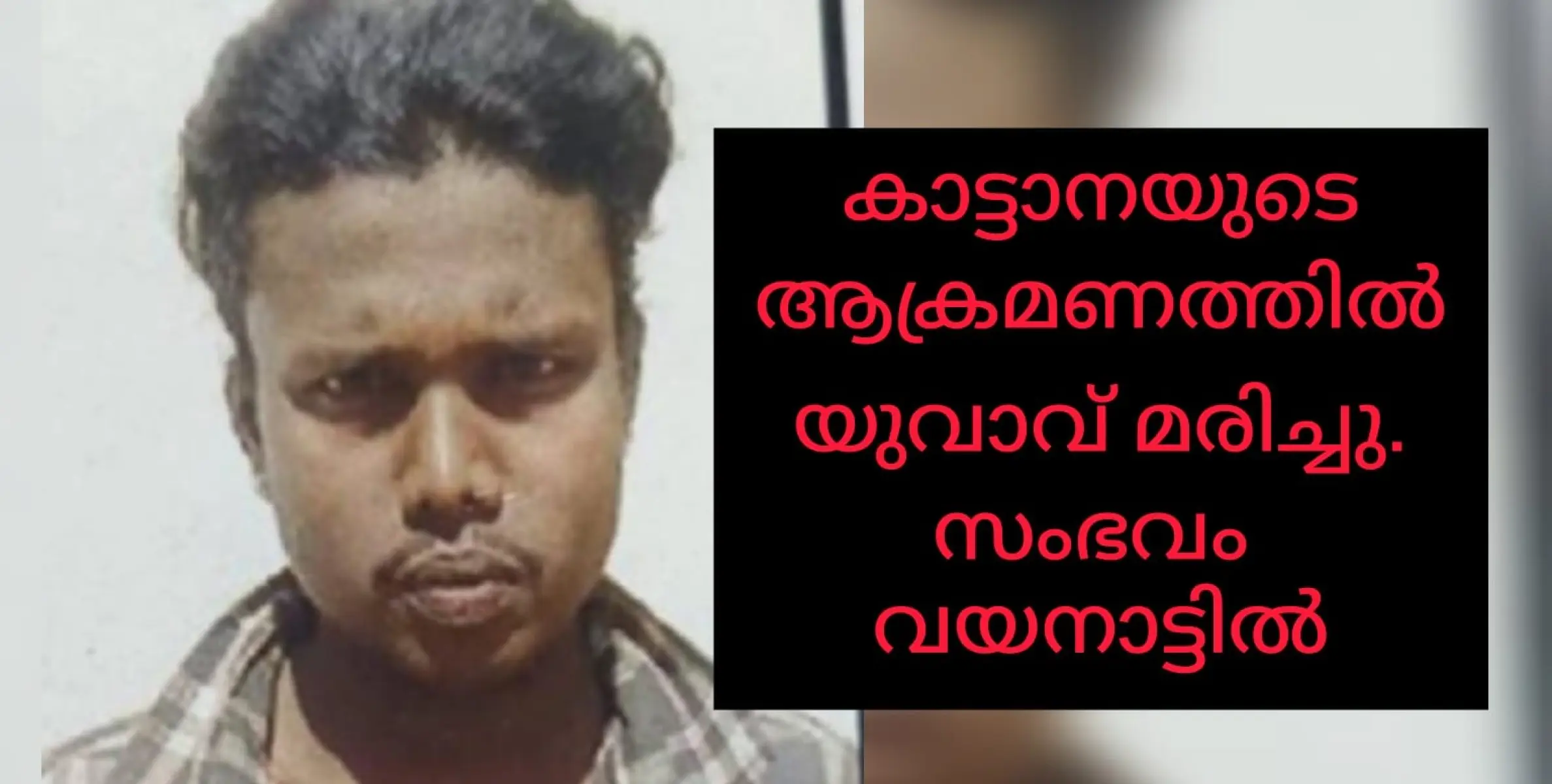 കാട്ടാനയാക്രമണത്തിൽ  യുവാവിന് ദാരുണാന്ത്യം. സംഭവം വയനാട്ടിൽ.