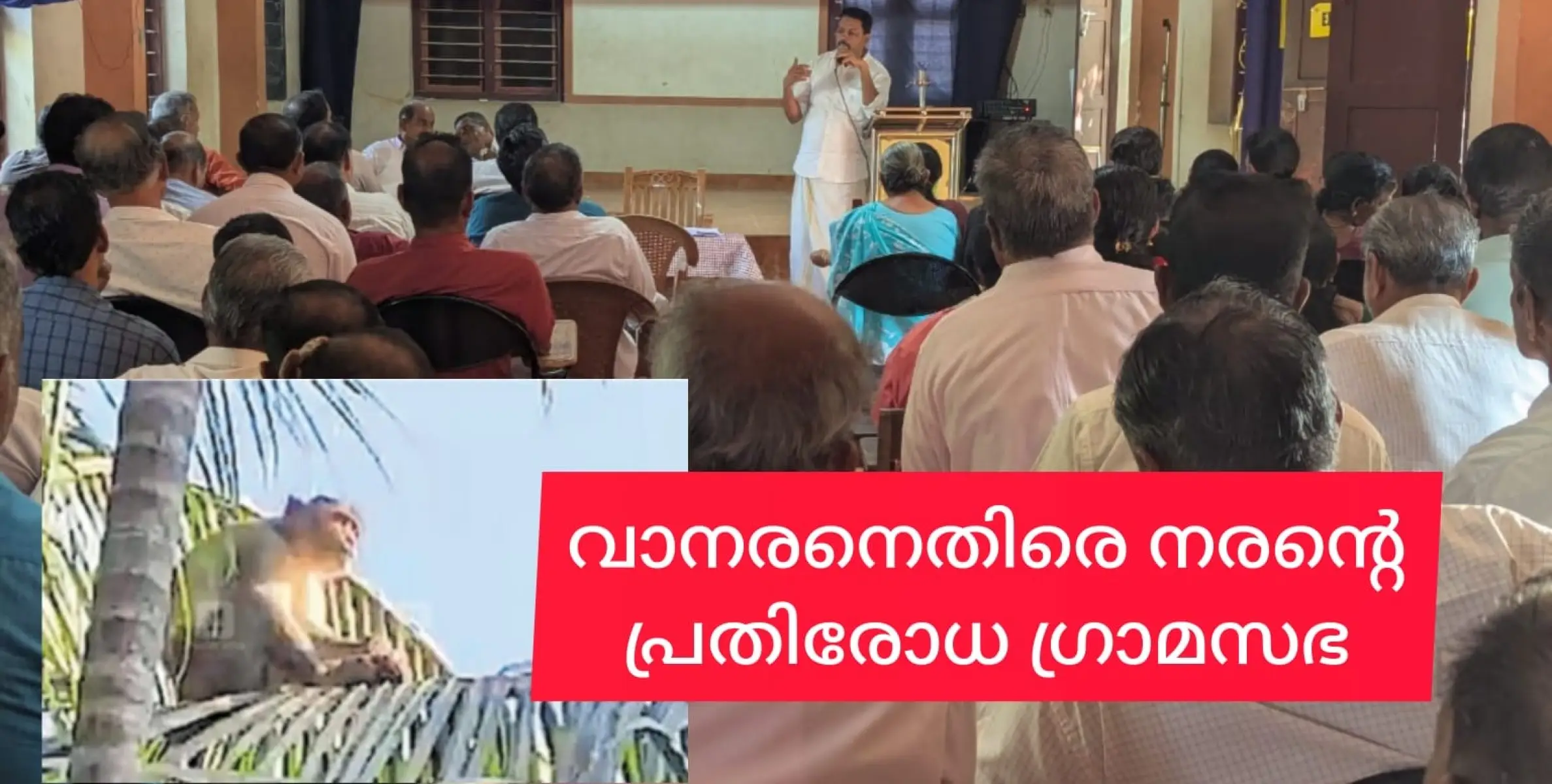 വാ(ൽ)നരനേയും സംരക്ഷകരേയും നേരിടുന്നത് സംബന്ധിച്ച് ചർച്ച ചെയ്യാൻ കൊട്ടിയൂരിലെ നരൻമാർ ഗ്രാമസഭ ചേർന്നു.