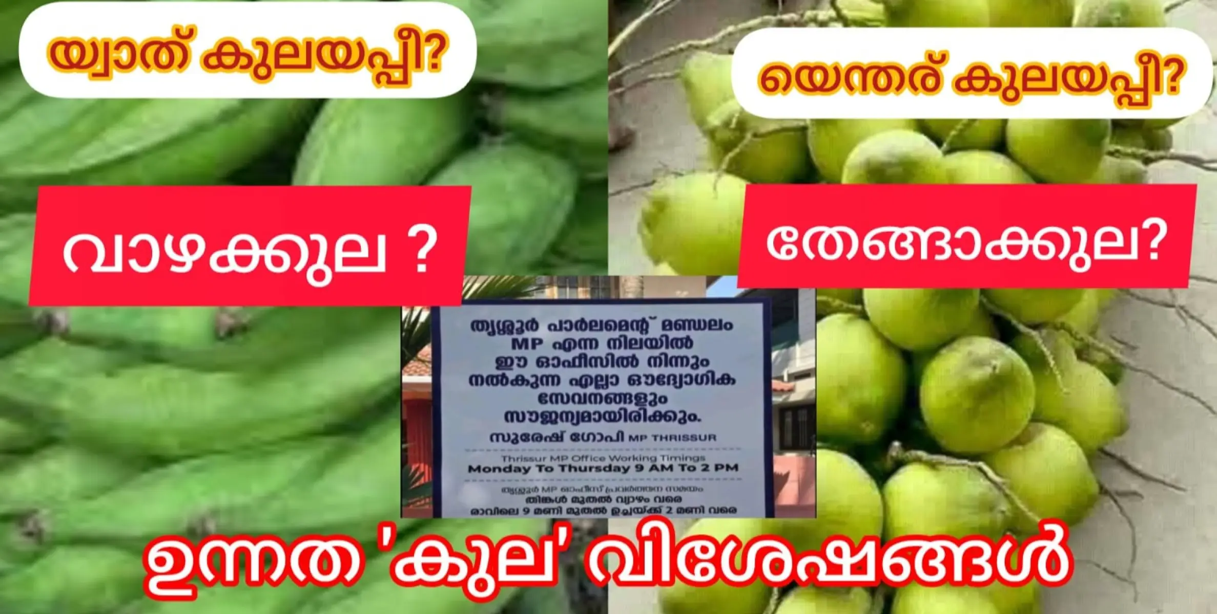 നീ മന്ത്രിയുടെയല്ല ചക്രവർത്തിയുടെ മകനായിരുന്നാലും നിൻ്റെ പെറുക്കിത്തരം നിന്നെ വിട്ടു പോകില്ല.