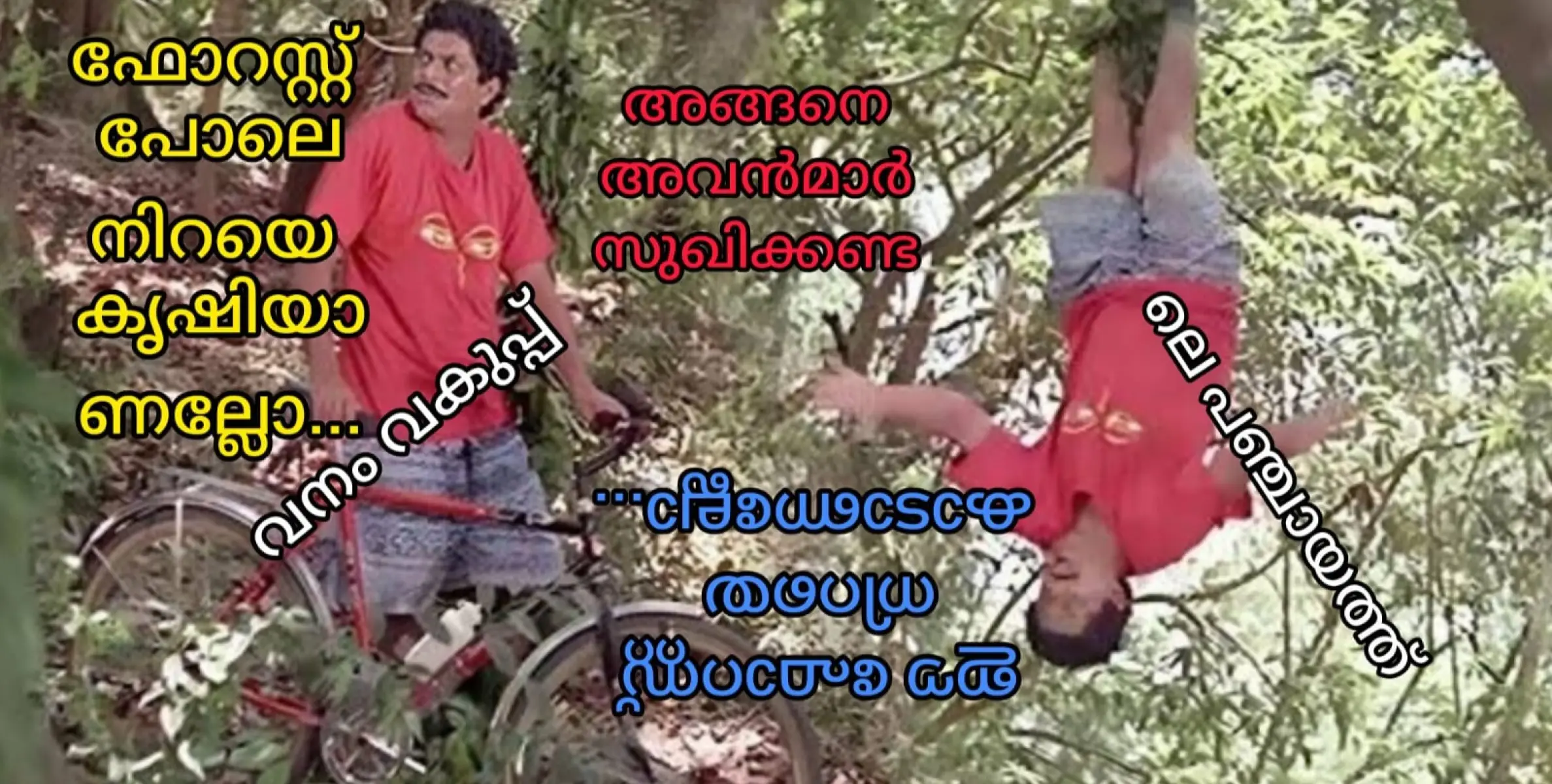 ഈ ഫോറസ്റ്റ് നിറയെ കാടാണല്ലോ? ഛെ തെറ്റി, ഈ കൃഷിയിടം നിറയെ ഫോറസ്റ്റാണല്ലോ.....