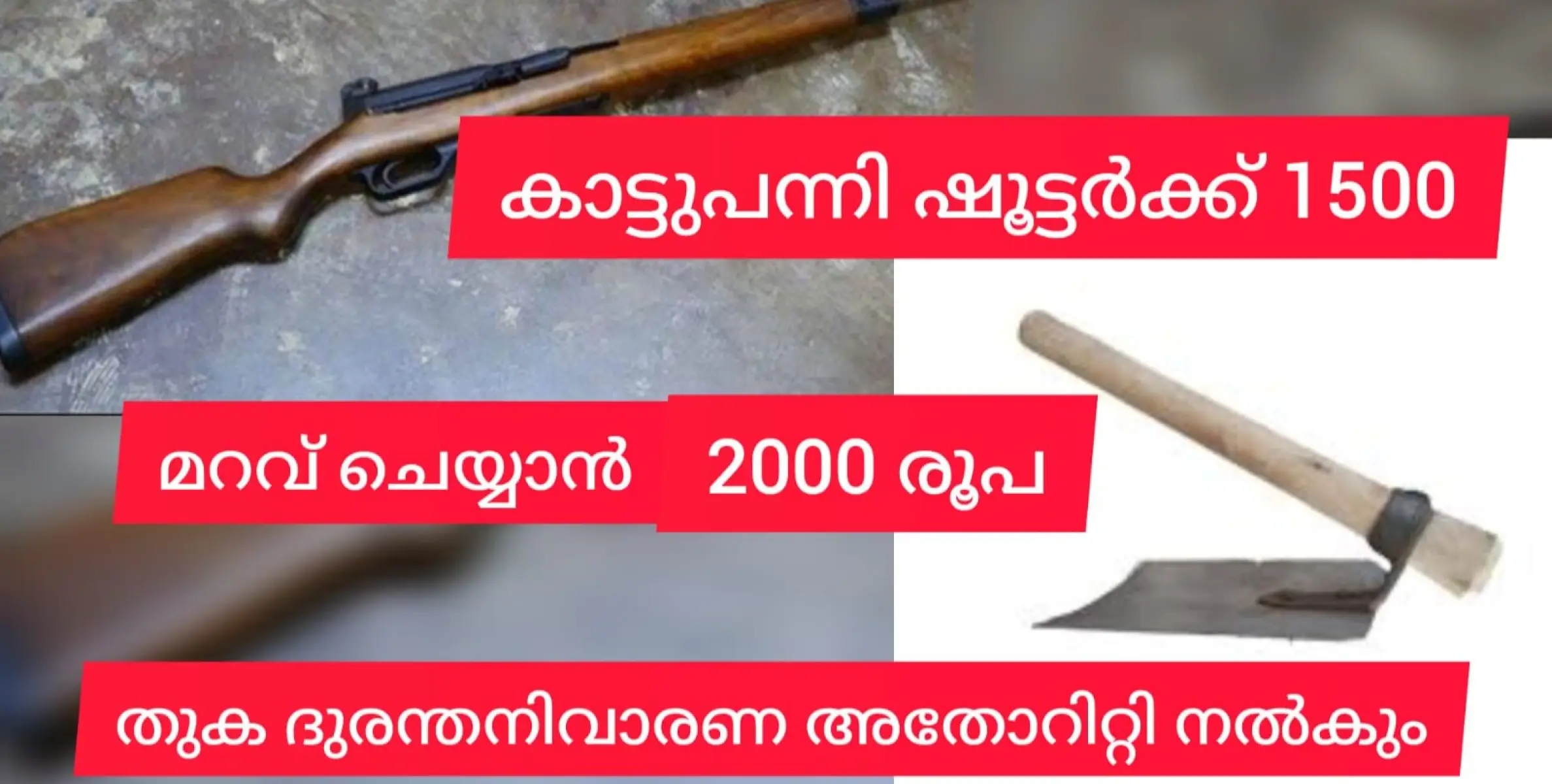 കാട്ടുപന്നികളെ കൊല്ലുന്ന ഷൂട്ടർക്ക് 1500 പ്രഖ്യാപിച്ച് സർക്കാർ. തുക ജില്ലാ ദുരന്ത നിവാരണ അതോറിറ്റി  നൽകും.