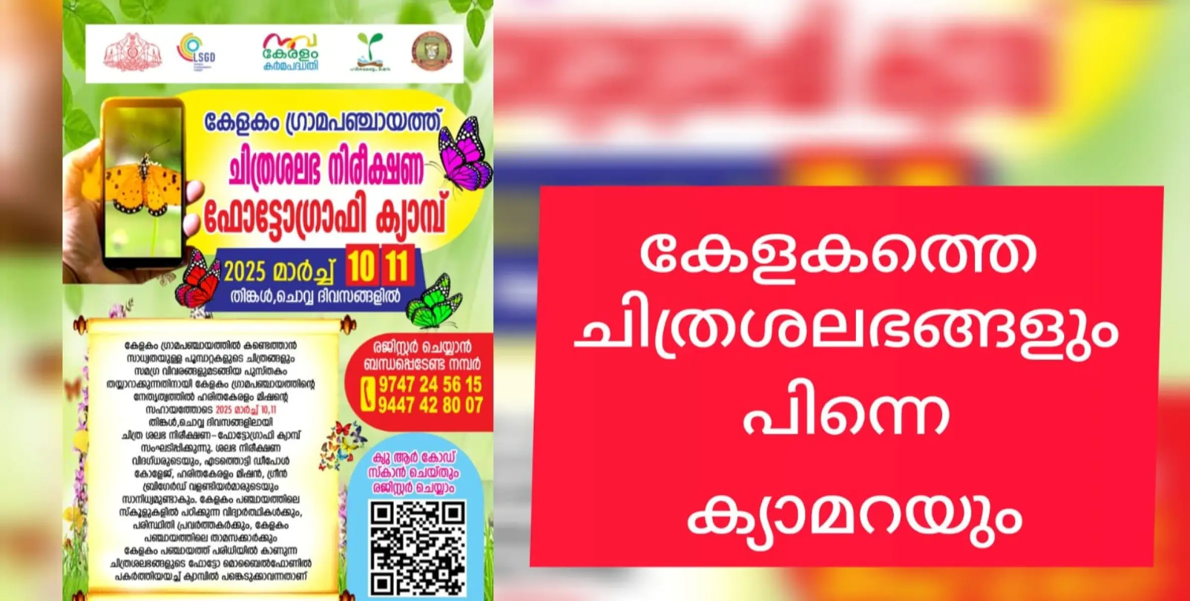 കേളകം പഞ്ചായത്ത് ചിത്രശലഭ നിരീക്ഷണ-ഫോട്ടോഗ്രാഫി ക്യാമ്പ് നടത്തുന്നു.