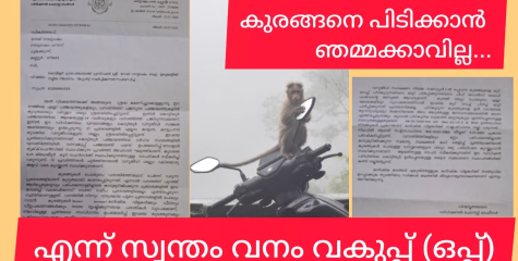 കുരങ്ങിനെ പിടിക്കാൻ ഞമ്മക്കാവില്ല കേട്ടോ....!  എന്ന് സ്വന്തം വനം വകുപ്പ്