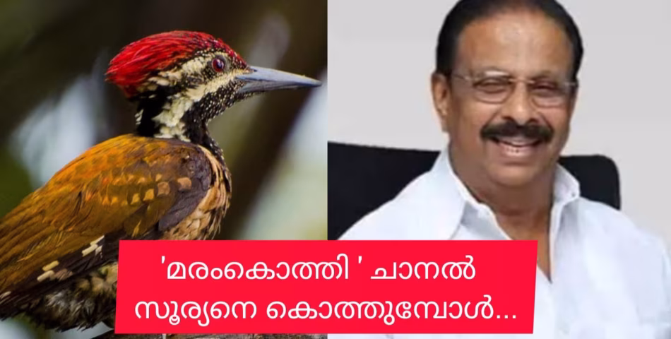 മരംകൊത്തി ചാനലിനെ പിന്തുടർന്ന് ഭീകര, മുതലാളിത്ത ചാനലുകളും രംഗത്ത്. കെ. സുധാകരനെ മാറ്റുന്ന കാര്യം ഹൈക്കമാൻഡും പാർട്ടിയും മാത്രം അറിഞ്ഞിട്ടില്ല!