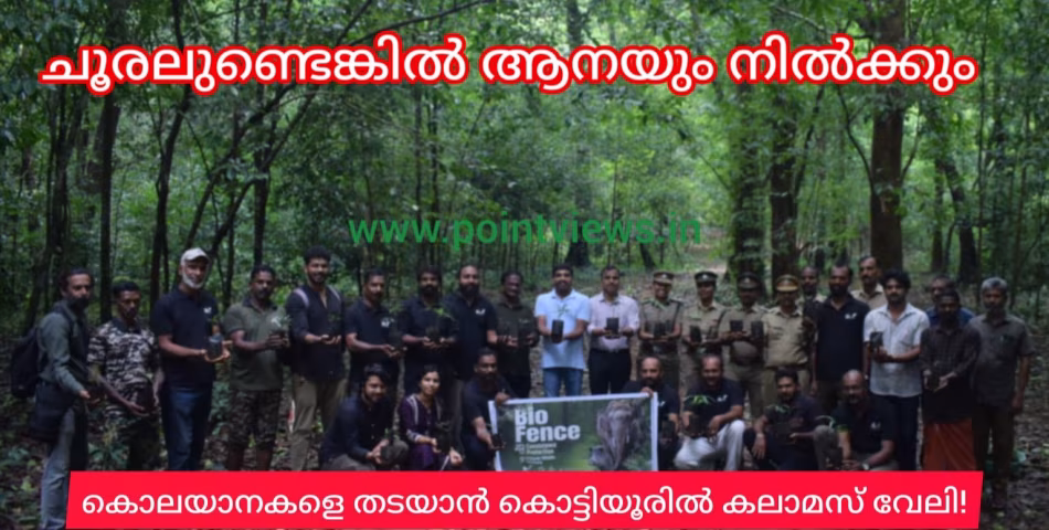 കൊലയാനകളെ തടയാൻ കലാമസ് വേലി. കർഷകരുടെ വയ്യാവേലി തീരുമോ?