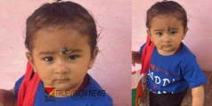 കണ്ണീർ ബാക്കി....ഛര്‍ദിയും മുലപ്പാല്‍ കുടിക്കാന്‍ ബുദ്ധിമുട്ടും; നാലു ജില്ലകള്‍, അഞ്ച് ആശുപത്രികൾ താണ്ടിയ സൈനികന്‍റെ 14 മാസം പ്രായമുള്ള മകന് ദാരുണാന്ത്യം