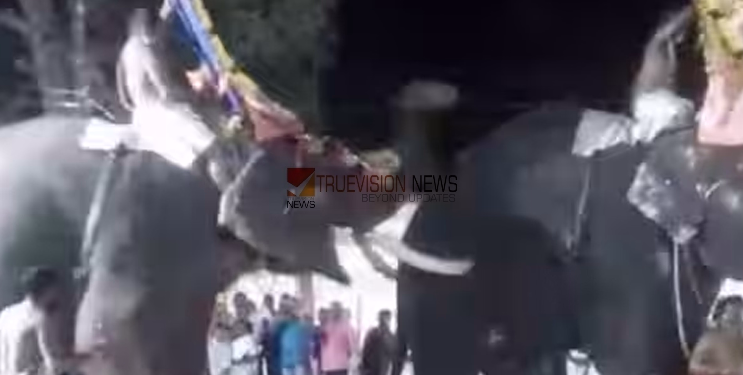 ഉത്സവത്തിനിടെ ആന ഇടഞ്ഞ സംഭവം;   നാലുപേർക്കെതിരെ കേസെടുത്ത് വനം വകുപ്പ്