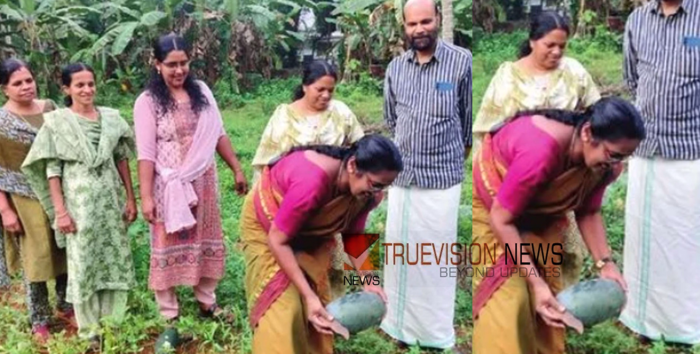 കുന്നുമ്മൽ പഞ്ചായത്തിൽ തണ്ണിമത്തൻ കൃഷി വിളവെടുത്തു 