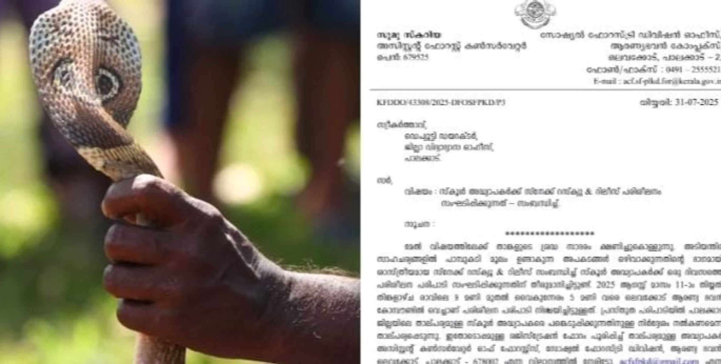 സംസ്ഥാനത്തെ അധ്യാപകർക്ക് പാമ്പ് പിടിക്കാൻ പരിശീലനം; വനം വകുപ്പാണ് പരിശീലനം നൽകുക