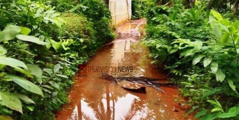 തോടല്ല വഴിയാണ്; മന്തരത്തൂരിൽ റോഡിൽ വെള്ളക്കെട്ട് രൂക്ഷം, വലഞ്ഞ് യാത്രക്കാർ 