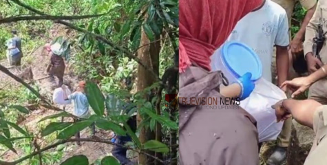 നാടിനെ നടുക്കിയ ധർമസ്ഥല വെളിപ്പെടുത്തൽ; ഇനി ബാക്കിയുള്ളത് ഏഴ് പോയിന്‍റുകളിലെ പരിശോധന, ഇന്ന് വനമേഖലയ്ക്കുള്ളിൽ തെരച്ചിൽ തുടരും